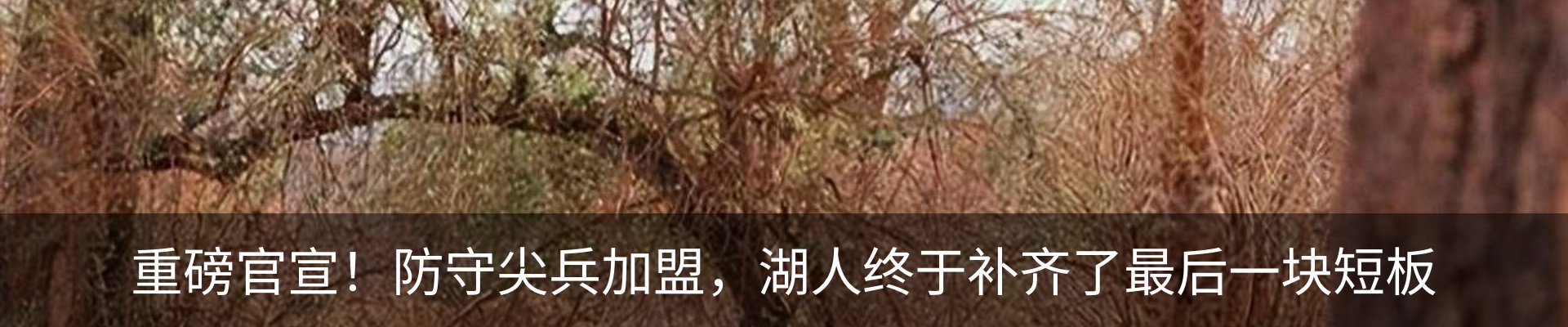 内页banner